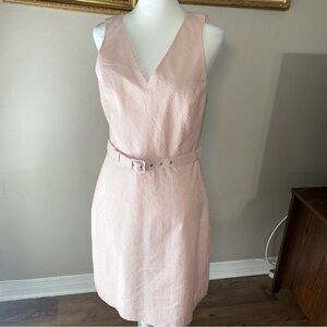 J. Crew Pink White Seersucker Pinstripe Belted Dress Size 4 Sleeveless V-Neck